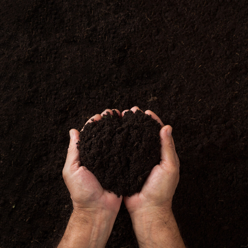 Top view of two hands holding soil over dark texture background