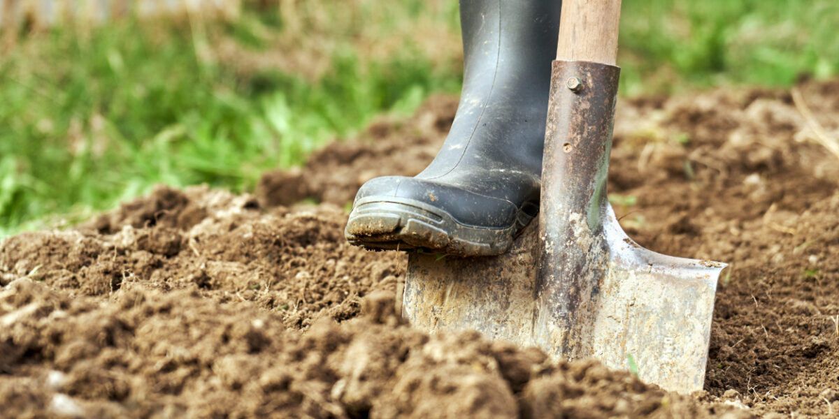clay soil colorado