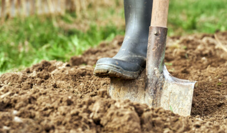 clay soil colorado