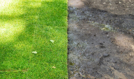 hydroseeding Colorado